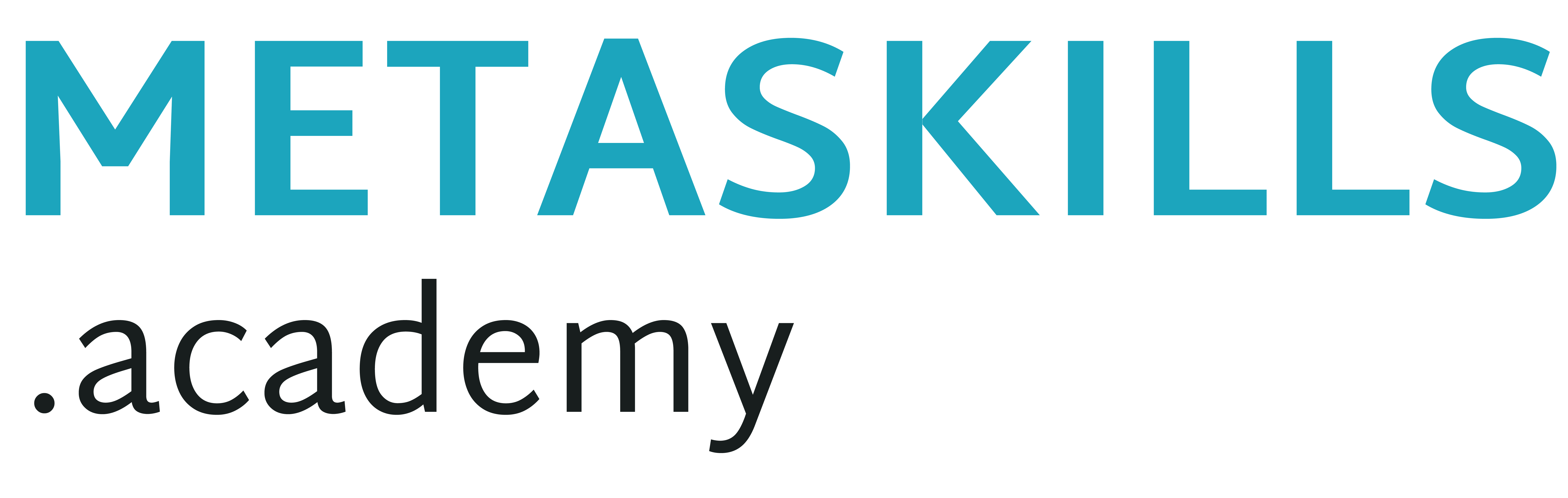 Metaskills Academy