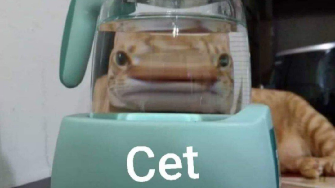 Rückblick Webinar "Gen Z goes brrr...- ein Versuch zur Erklärung der Gen Z und Tiktok"