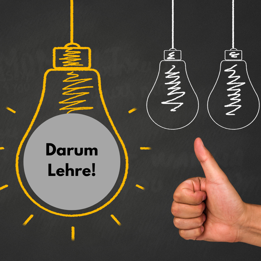 Warum Lehre? z.l.ö. Beitrag in Karriereratgeber von Media Planet